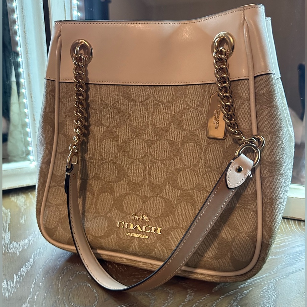 Coach Cammie Chain Bucket Bag In Signature Canvas